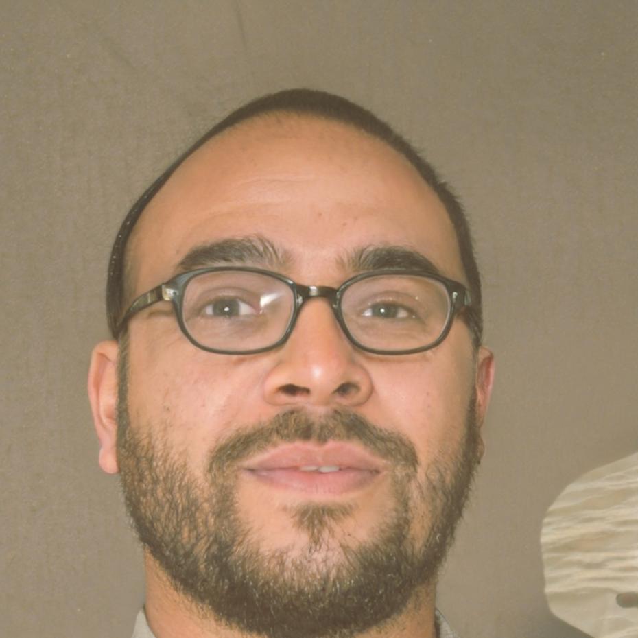 Marcus Chen, CEO and Chief Financial Analyst